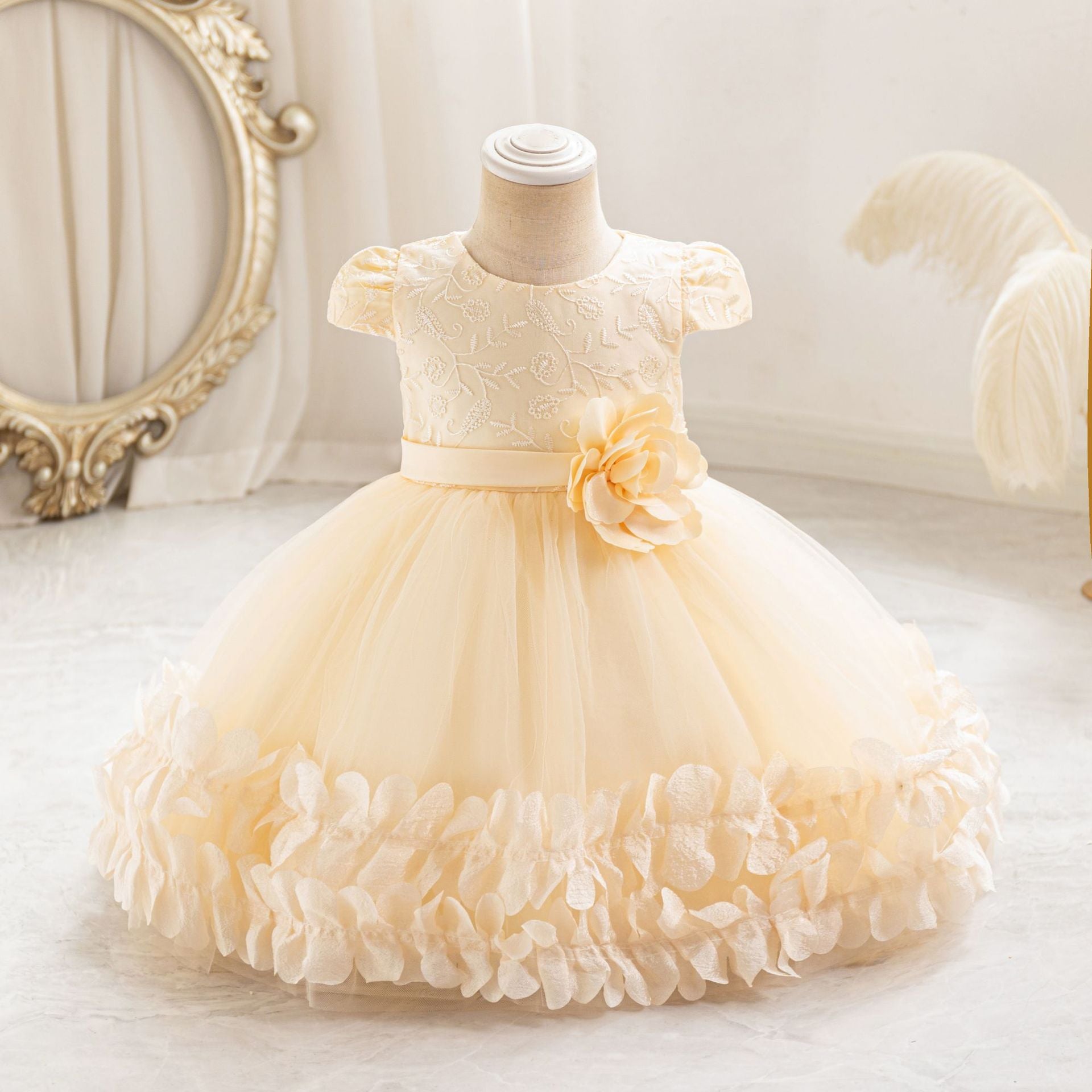 Baby Girl Lace Princess Tutu Dress  1st Birthday Party & Performance Outfit
