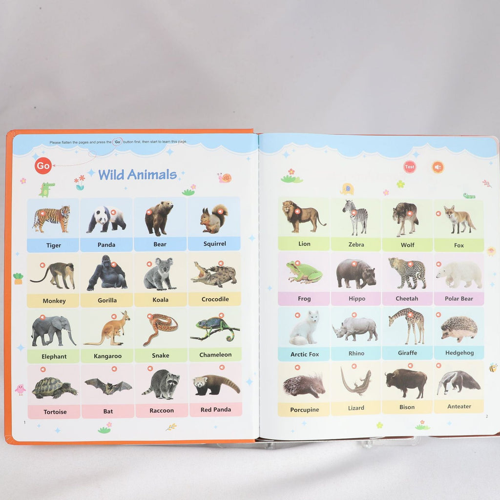 Bright Start English Vocabulary Book