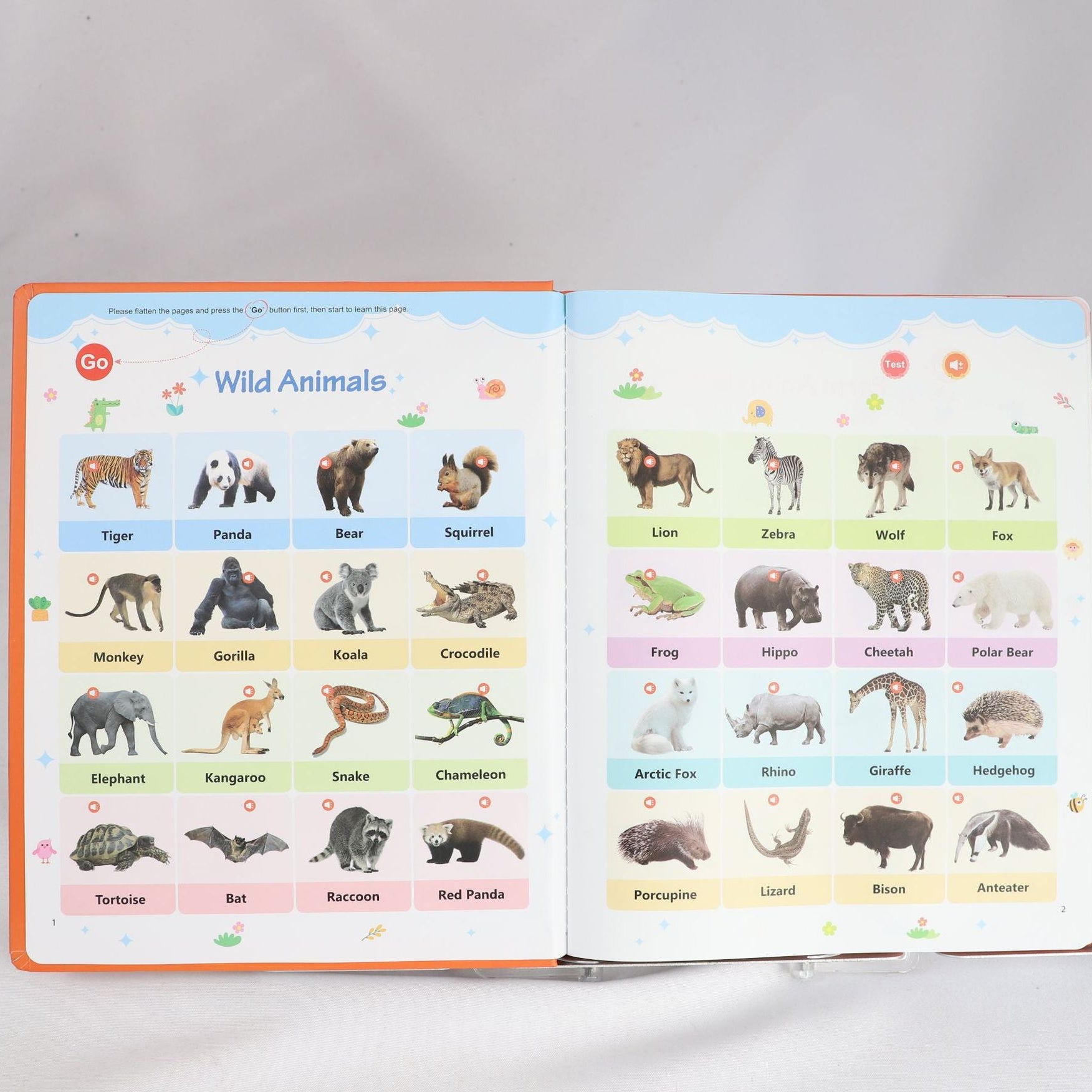 Bright Start English Vocabulary Book
