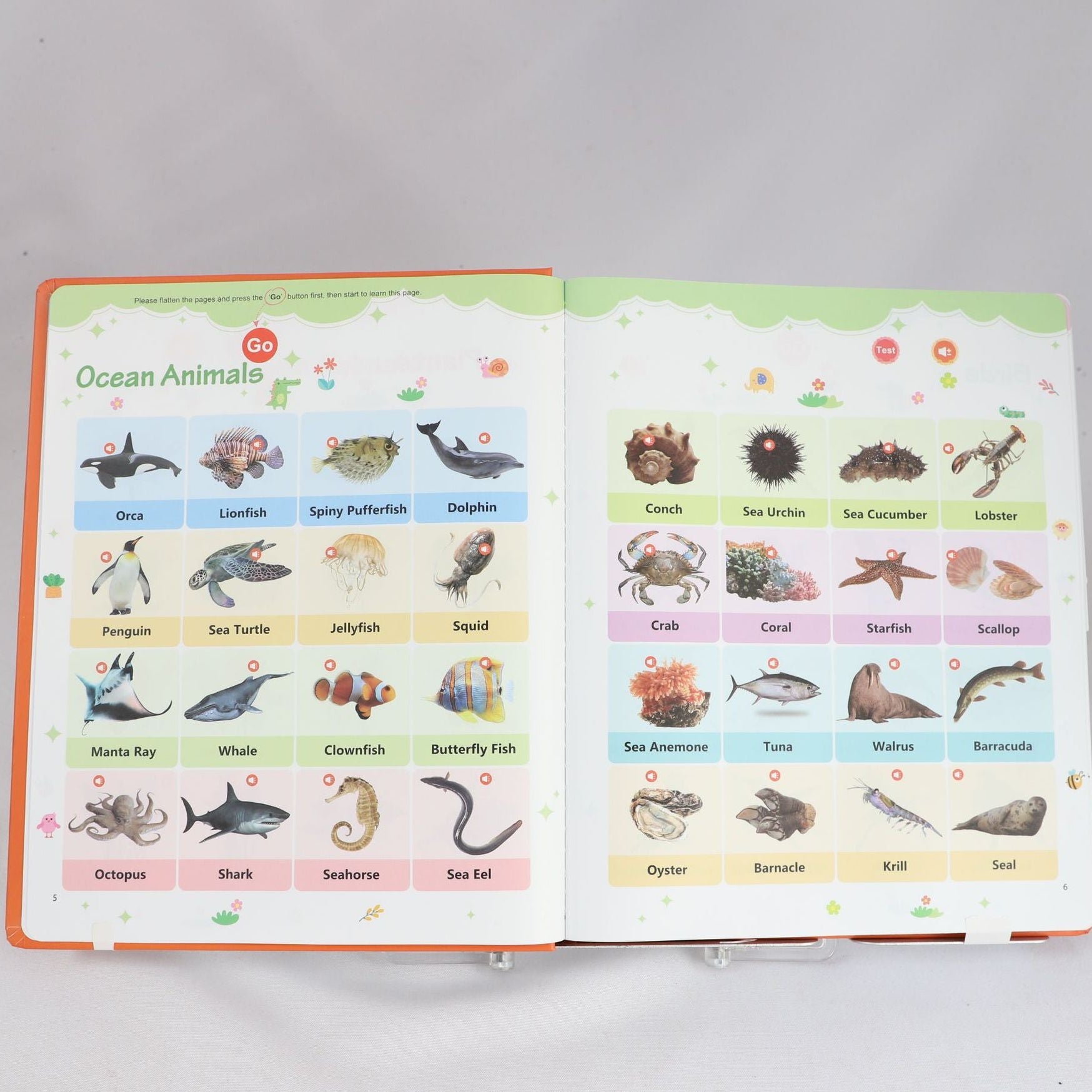 Bright Start English Vocabulary Book