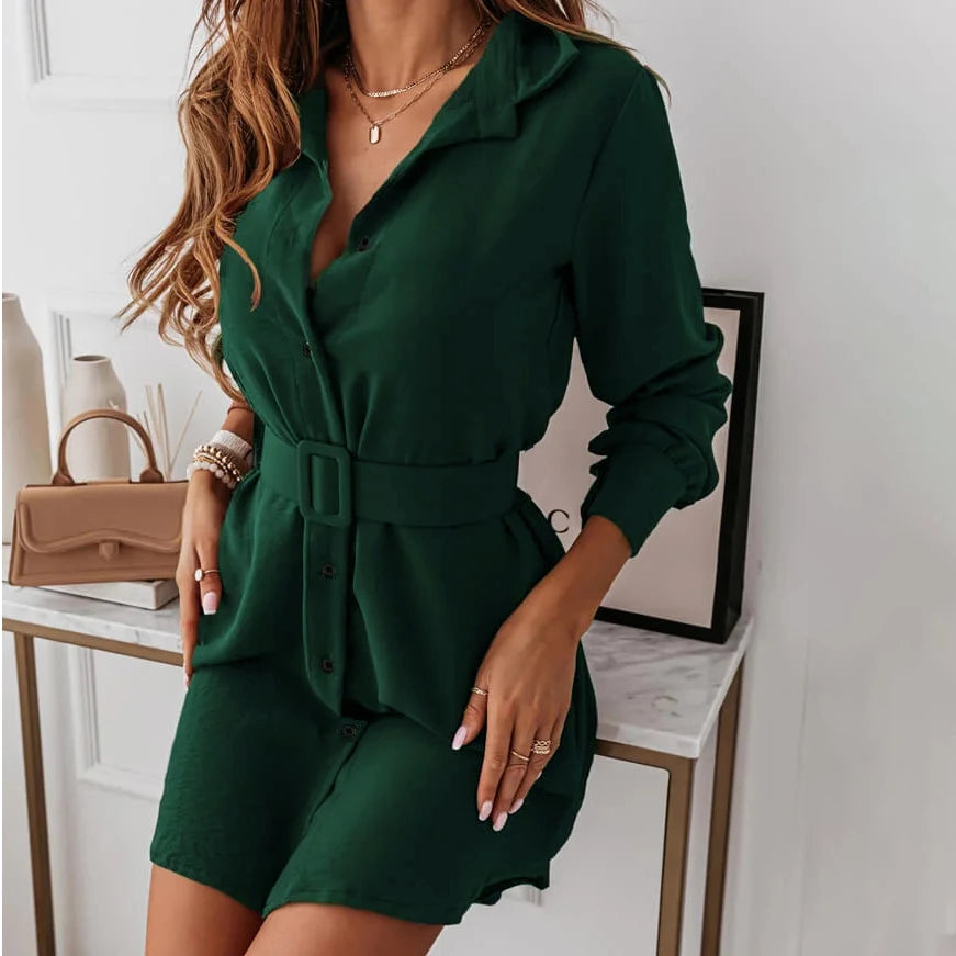 Elegant Slim Fit Long Sleeve Dress: Fall/Winter Style