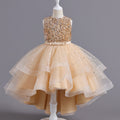 Girls' Glitter Tulle Trailing Dress