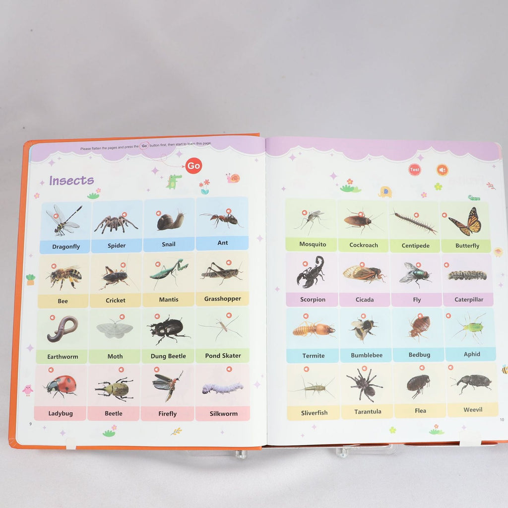 Bright Start English Vocabulary Book