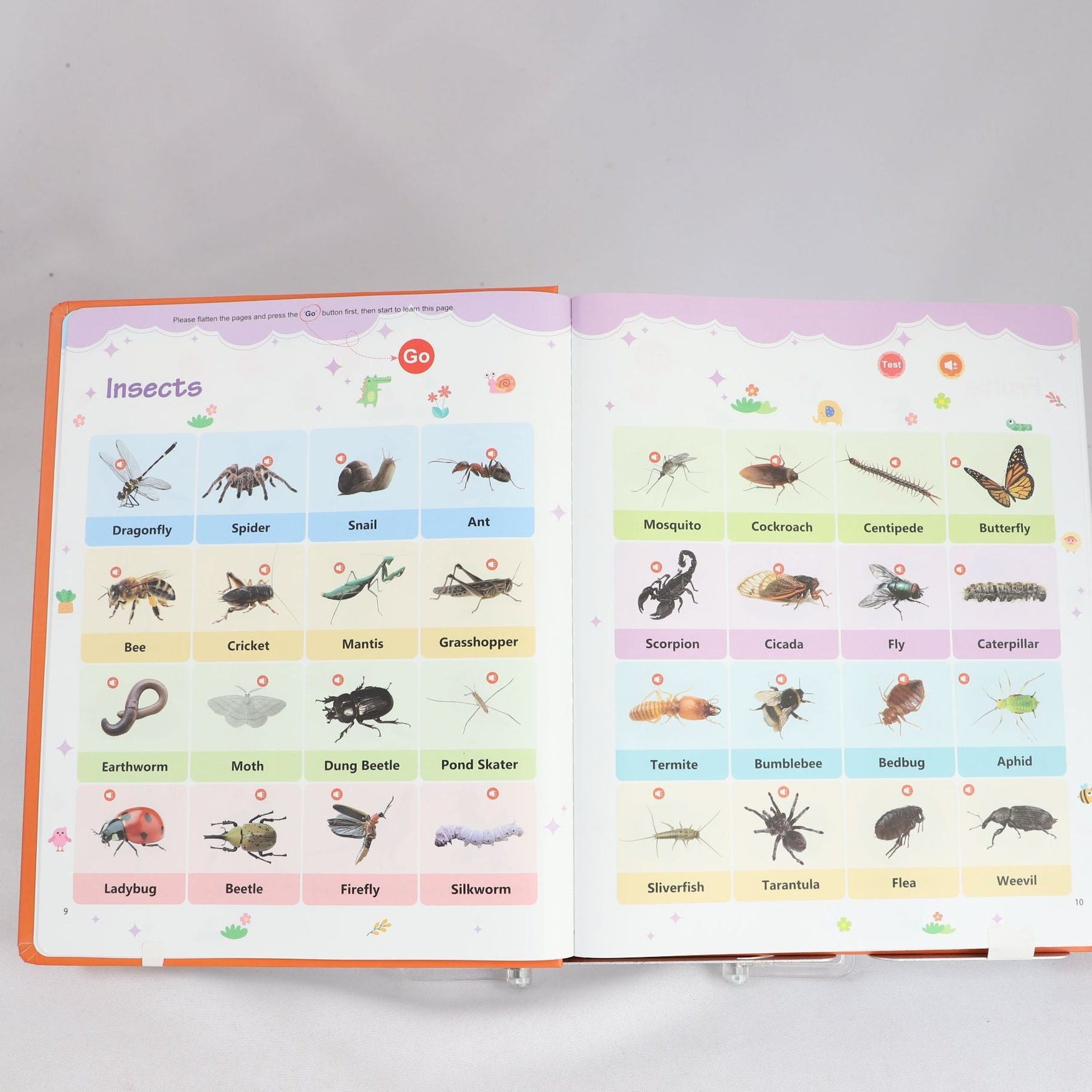 Bright Start English Vocabulary Book