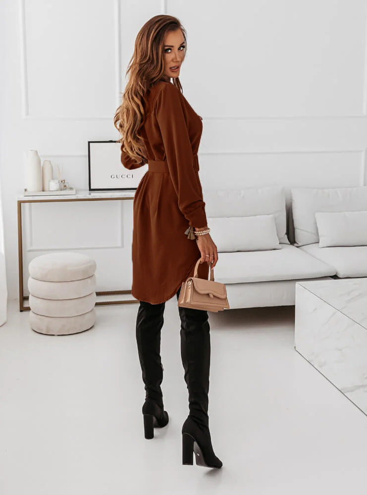 Elegant Slim Fit Long Sleeve Dress: Fall/Winter Style